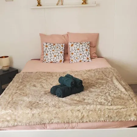 Le Cocon Volcanique - In Apartment Clermont-Ferrand